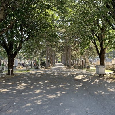 Allée ombragée de l’ancien cimetière de Villeurbanne